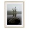 Stupell Industries Duo Trees Lake Reflection Framed Print Under Glass, design by James Rodewald